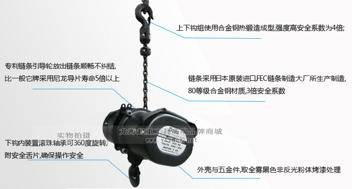 臺灣DUKE舞臺倒掛環(huán)鏈電動葫蘆細(xì)節(jié)圖